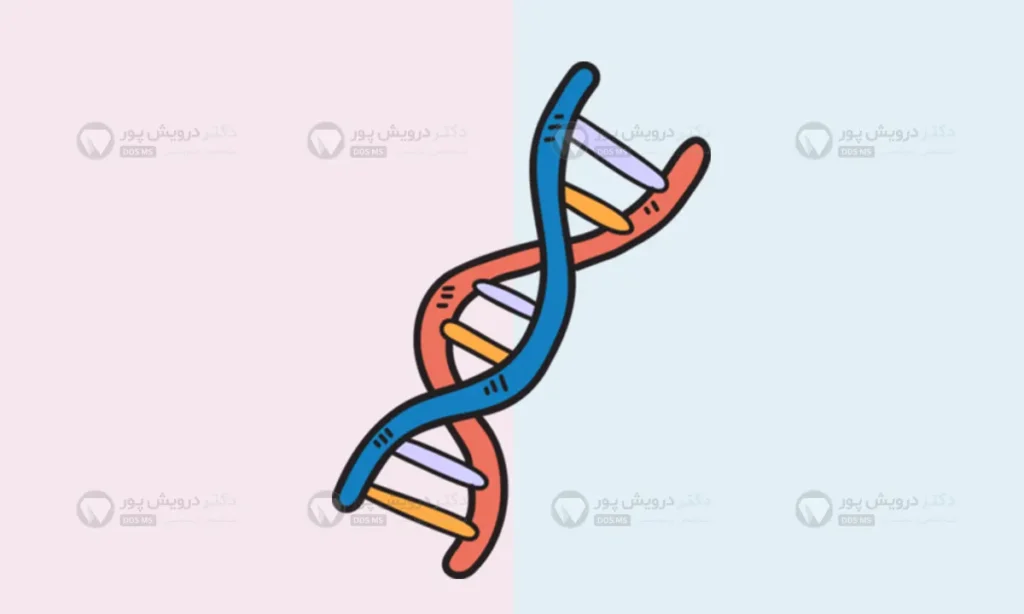 نقش ژنتیک در بزرگی فک بالا یا پایین