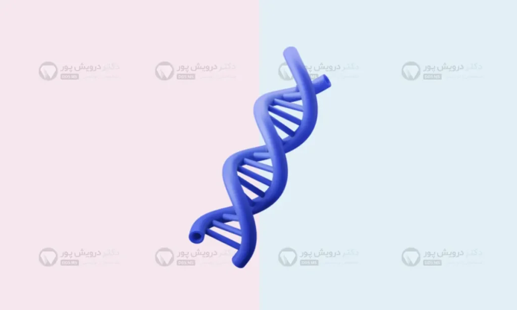 ژنتیک و نقش آن ار تنگی فک